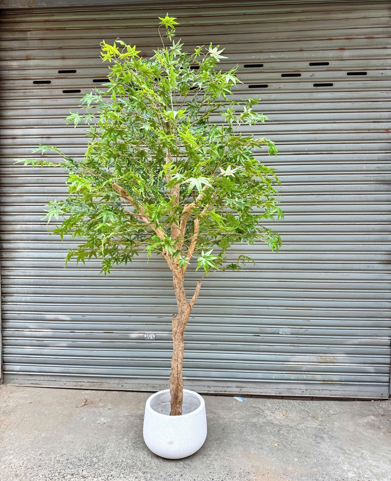 Cây lá phong xanh giả trang trí giống thật