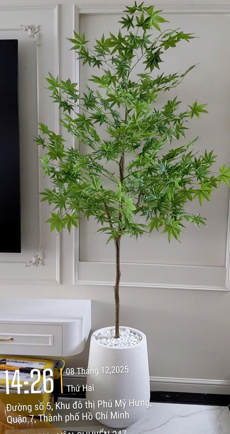 Cây lá phong giả trang trí nhà giống thật