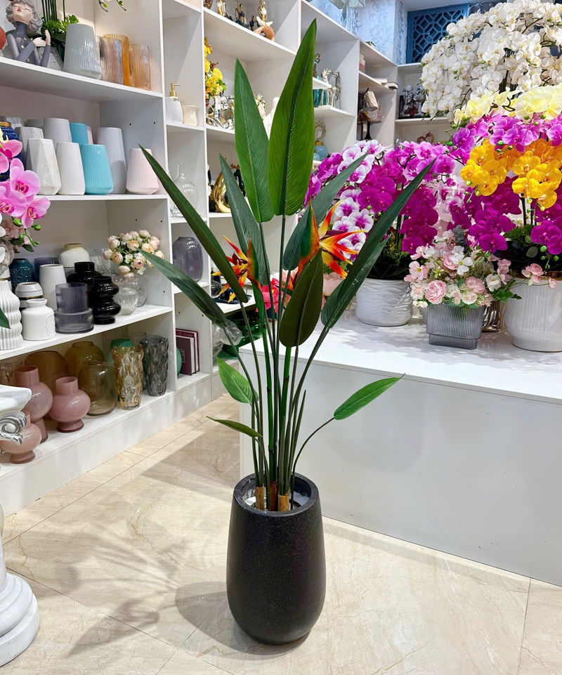 Cây thiên điểu có hoa giả đep giống thật