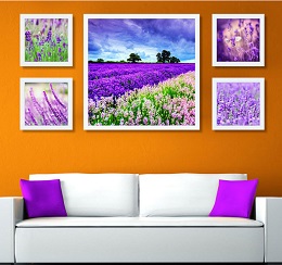 Tranh treo tường hoa lavender có khung