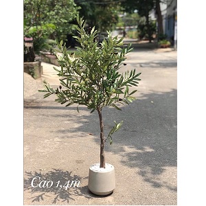 Cây ô liu giả trang trí loại thấp 1,4m