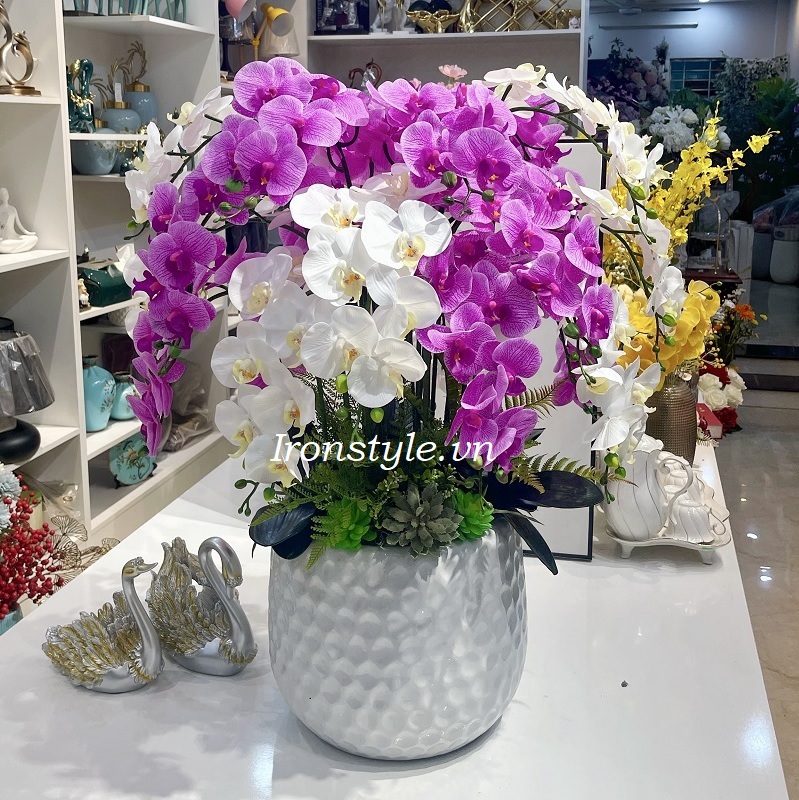 Chậu hoa lan hồ điệp 2 màu tím trắng 90cm