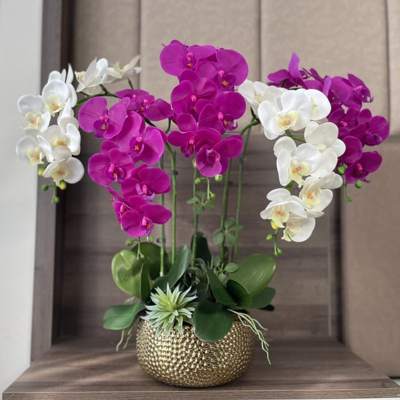 Bình hoa lan giả tím trắng chậu vàng để bàn