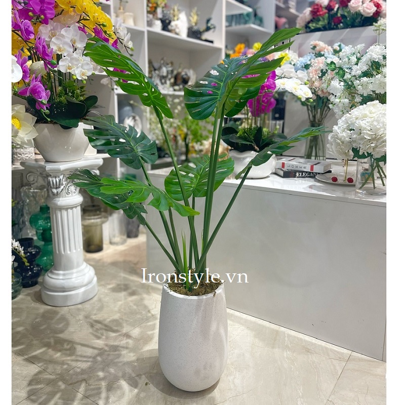 Chậu cây trầu bà lá xẻ giả 1m15
