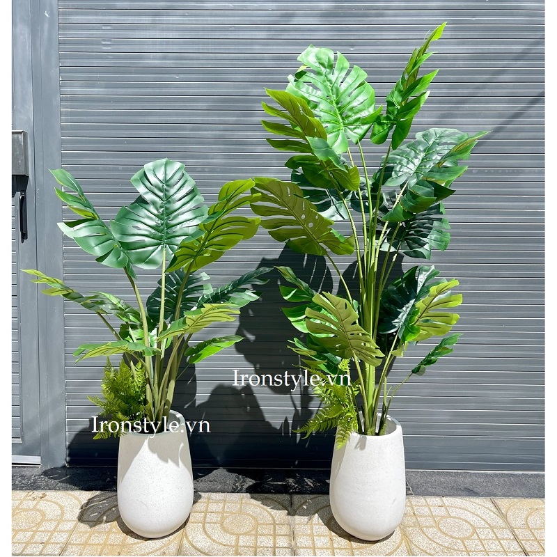 Cây monstera giả kèm chậu trang trí trong nhà
