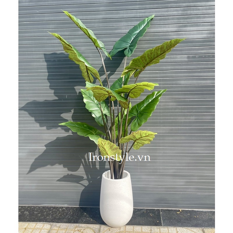 Cây khoai nước giả kèm chậu 1m7