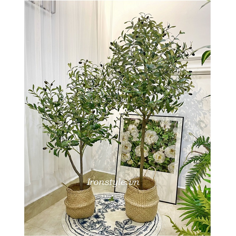 Chậu cây ô liu giả trang trí kèm giỏ mây
