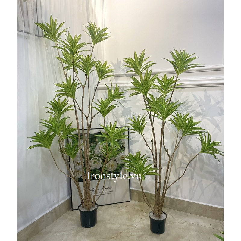 Cây thủy trúc giả decor đẹp