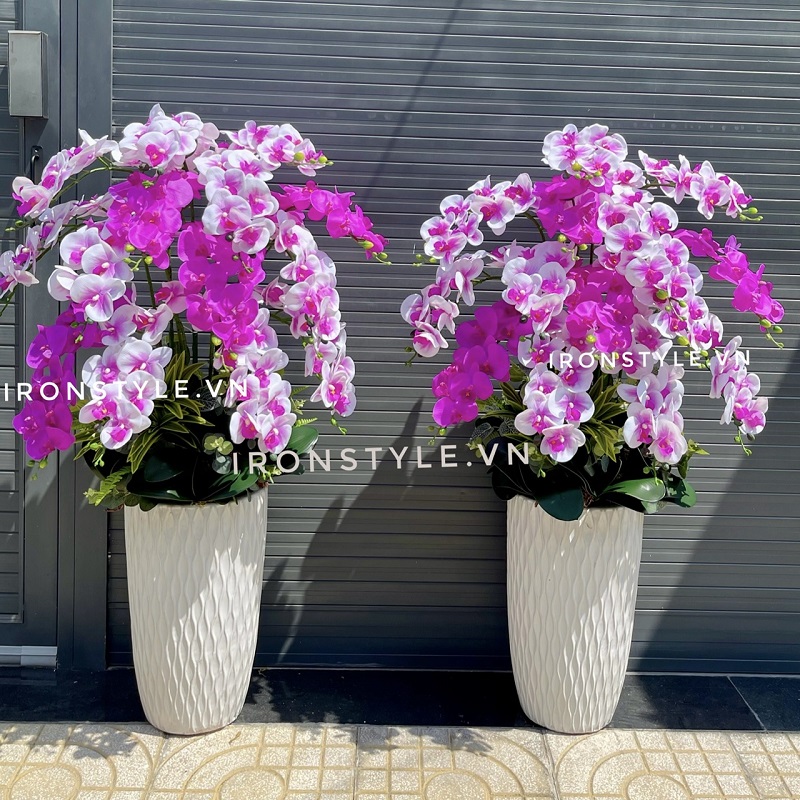 Chậu hoa lan hồ điệp tím cao su 1m3 cắm 1 mặt (mã 20)