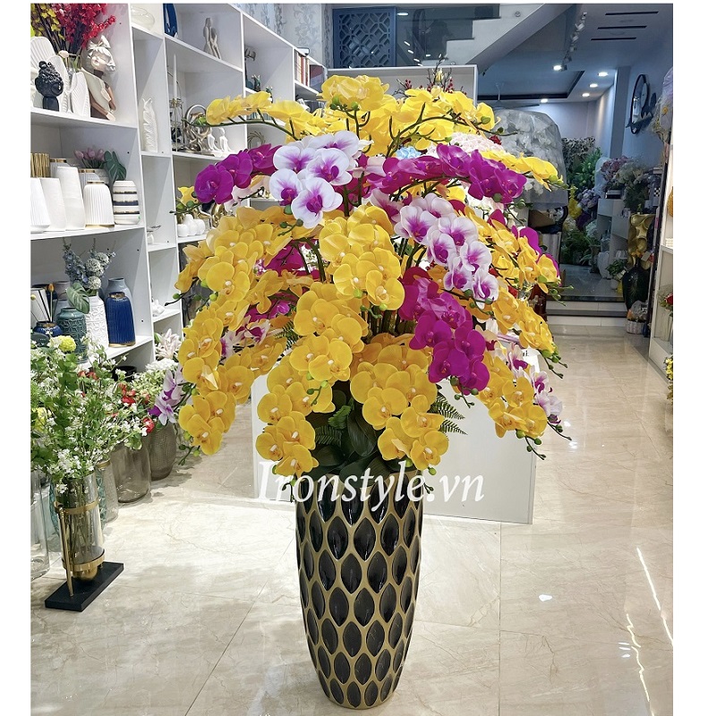 Hoa lan hồ điệp bình lớn tổ ong cao 1m5