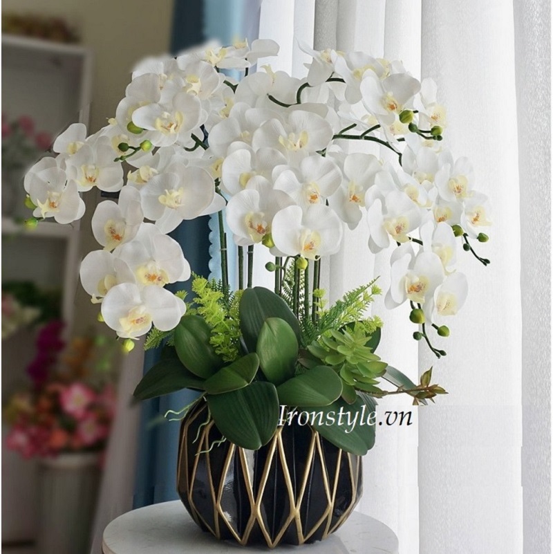 Bình lan hồ điệp giả trắng 7 cành chậu đen