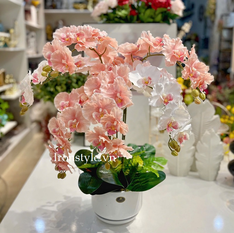 Bình lan hồ điệp lụa trắng hồng một mặt để bàn