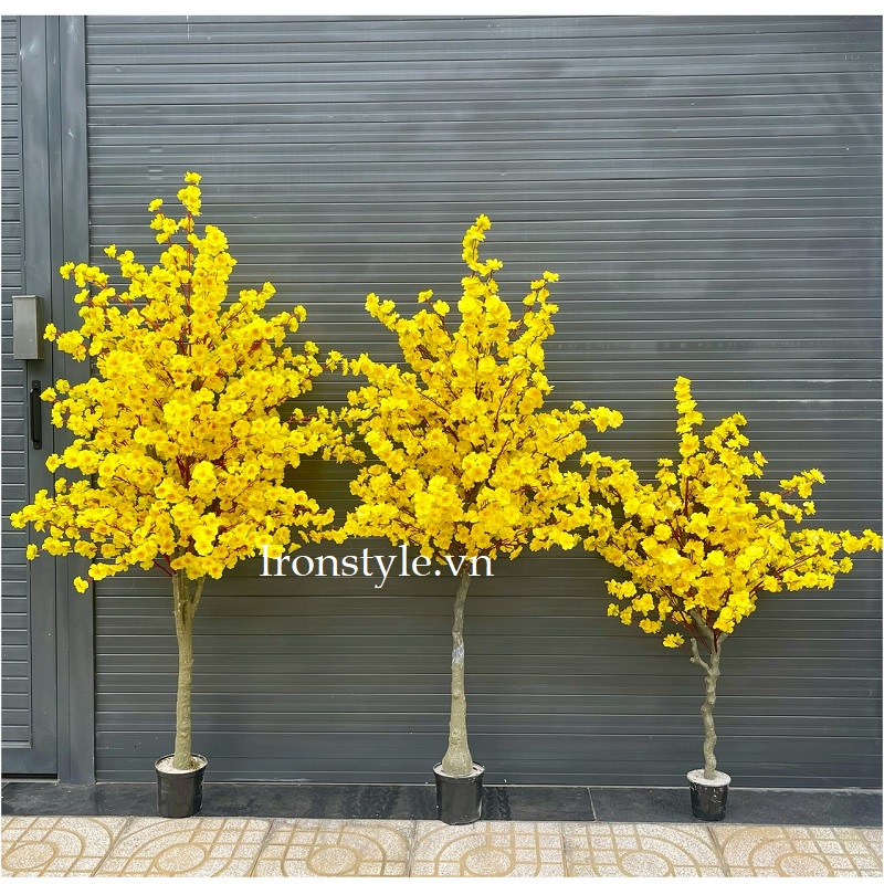 Cây mai vàng giả trang trí (3 kích thước)