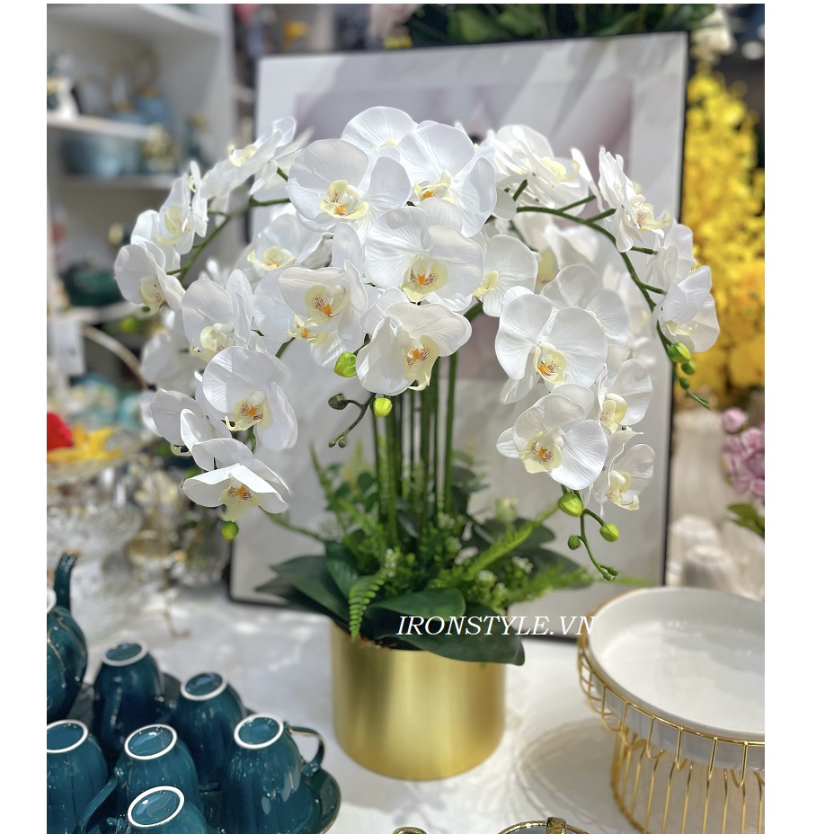 Bình hoa lan hồ điệp lụa trắng chậu thiếc vàng
