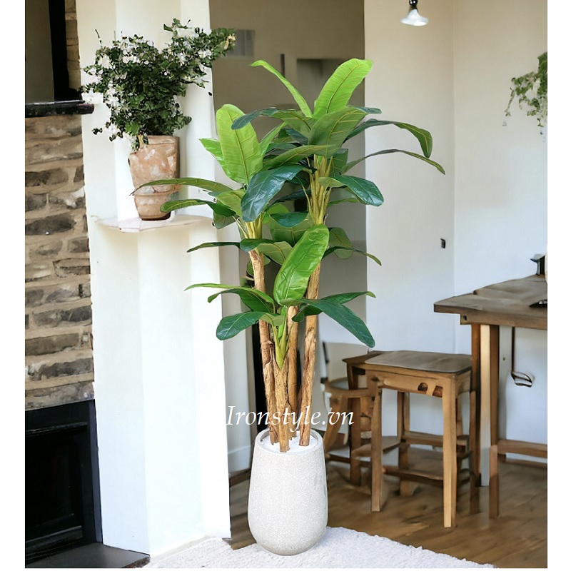 Chậu cây chuối giả 4 thân 2m2