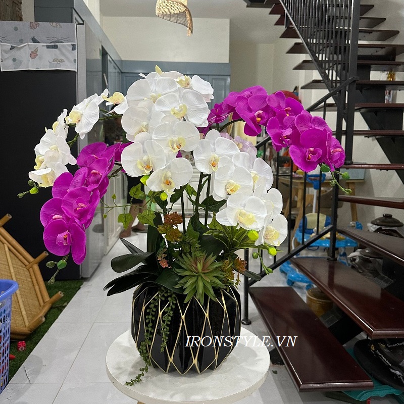 Bình hoa lan hồ điệp lụa trắng tim chậu khứa đen