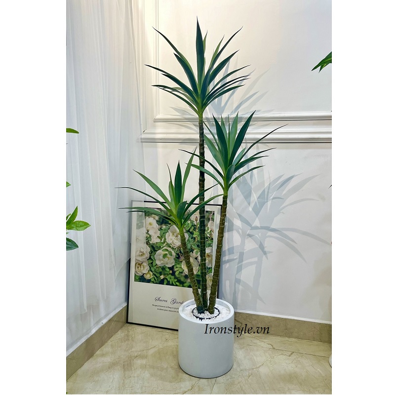 Cây dứa phát tài giả chậu xi măng trắng