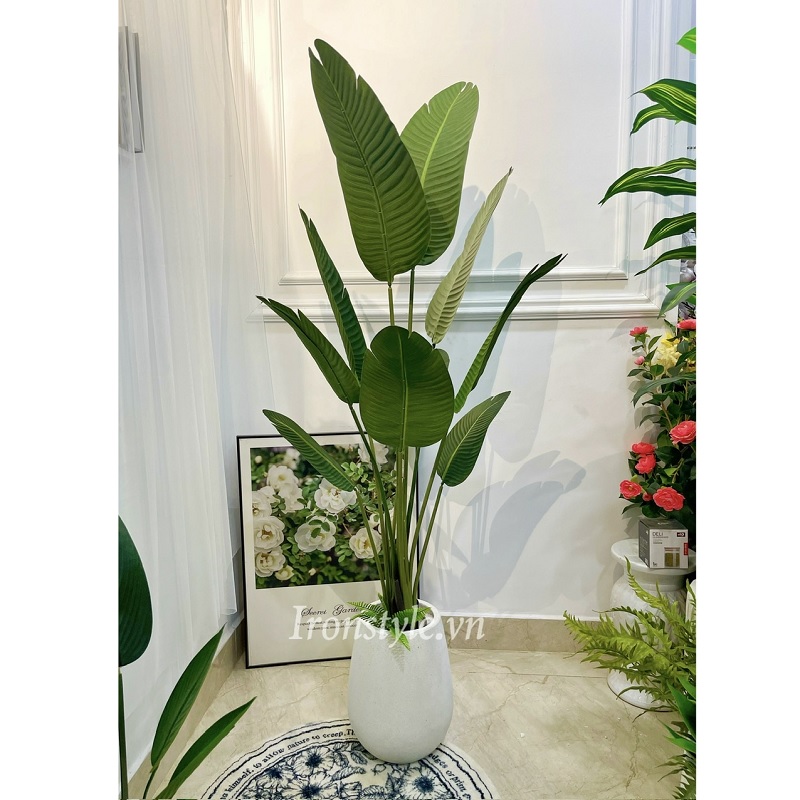 Chậu cây chuối giả trang trí kèm chậu 1m8