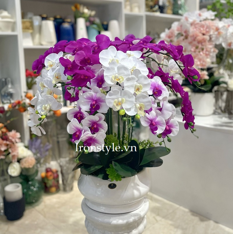 Chậu lan hồ điệp giả cắm tròn tím
