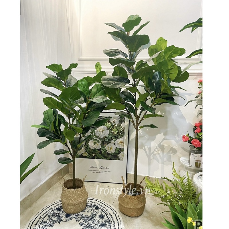 Cây bàng giả trang trí kèm giỏ mây