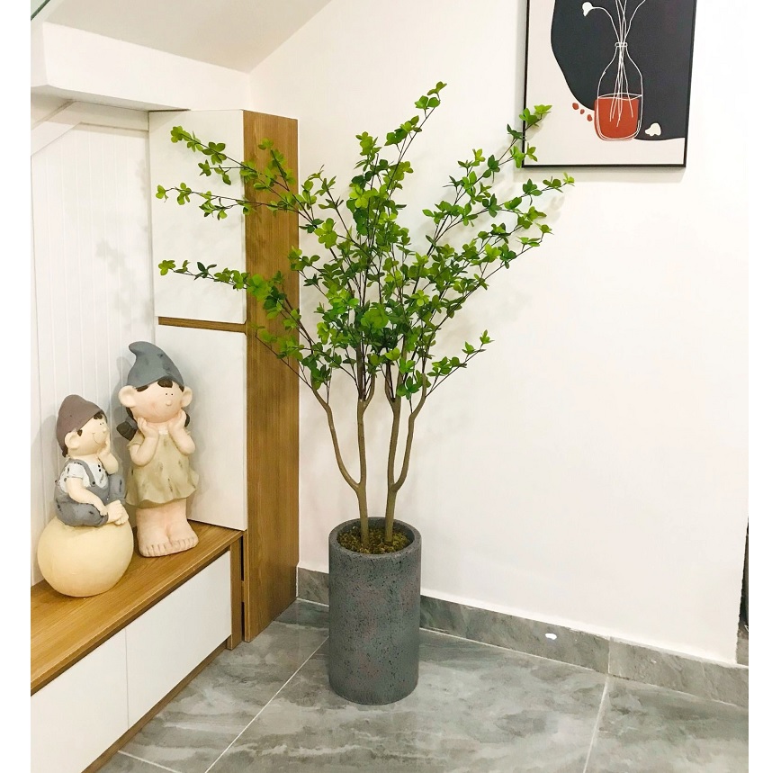Chậu cây thạch nam giả cao 1m4