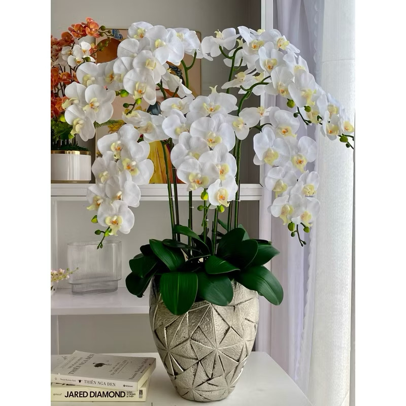 Bình hoa lan hồ điệp giả mã 36