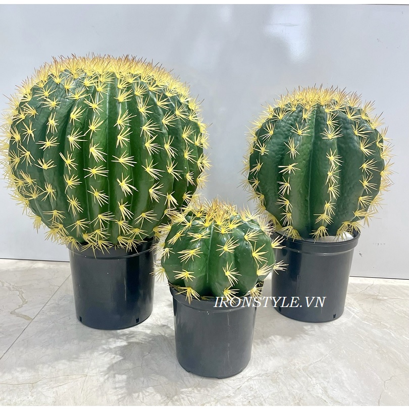 Cây xương rồng tròn giả (3 kích thước)