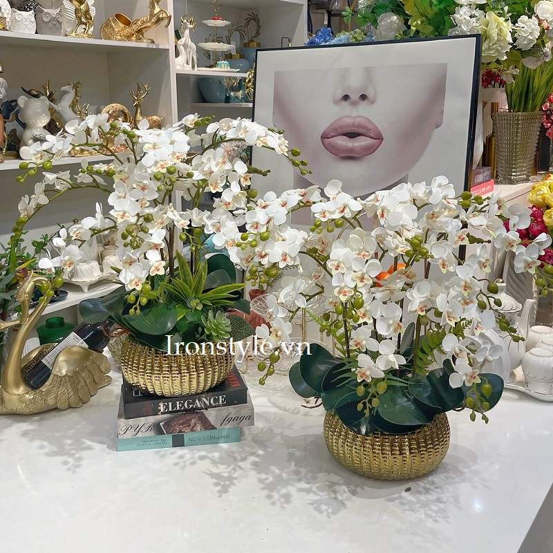 Chậu lan giả tiểu hồ điệp trắng 1 mặt sang trọng