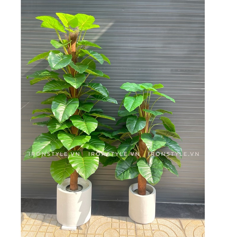 Cây trầu bà giả dáng thẳng kèm chậu