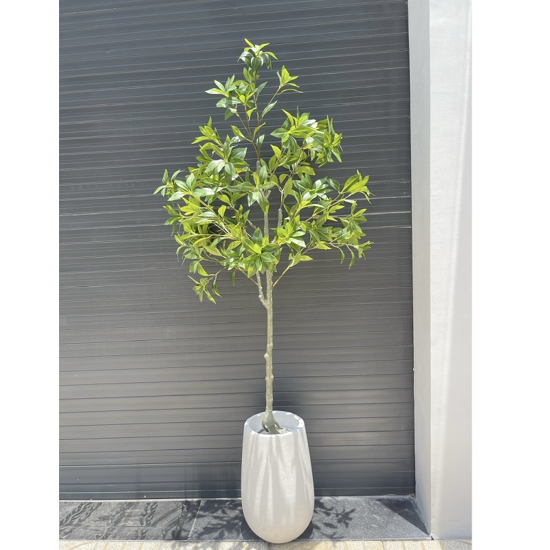 Cây Asebi Nhật Bản giả trang trí đẹp giống thật