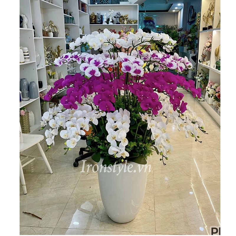 Bình lan hồ điệp trang trí sảnh cao 1m6