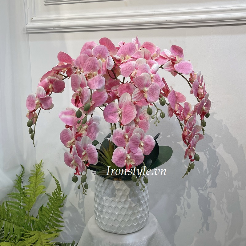 Chậu hoa lan hồ điệp màu hồng cắm 1 mặt