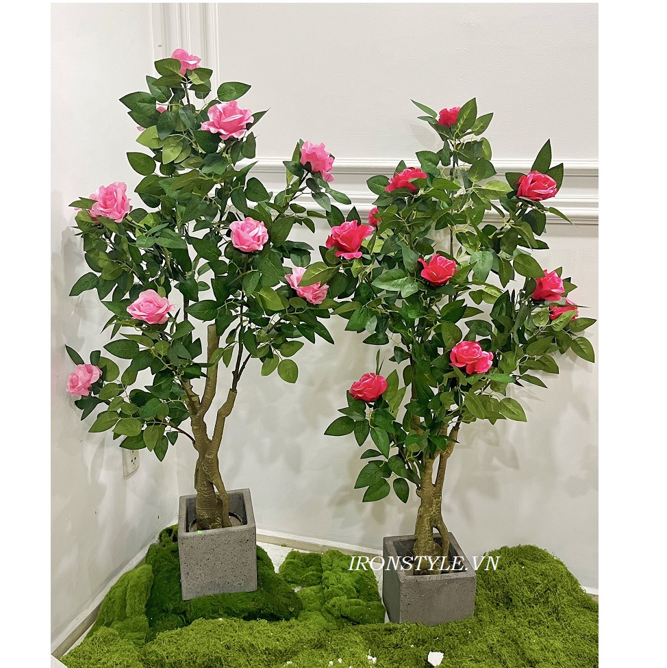 Chậu cây hoa hồng giả 10 bông