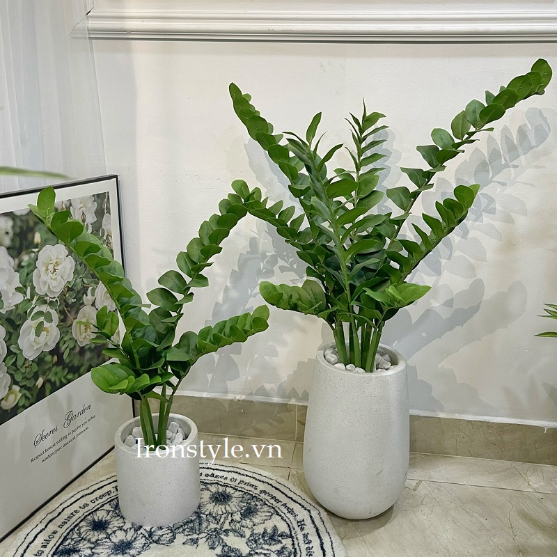 Chậu cây kim tiền giả kèm chậu
