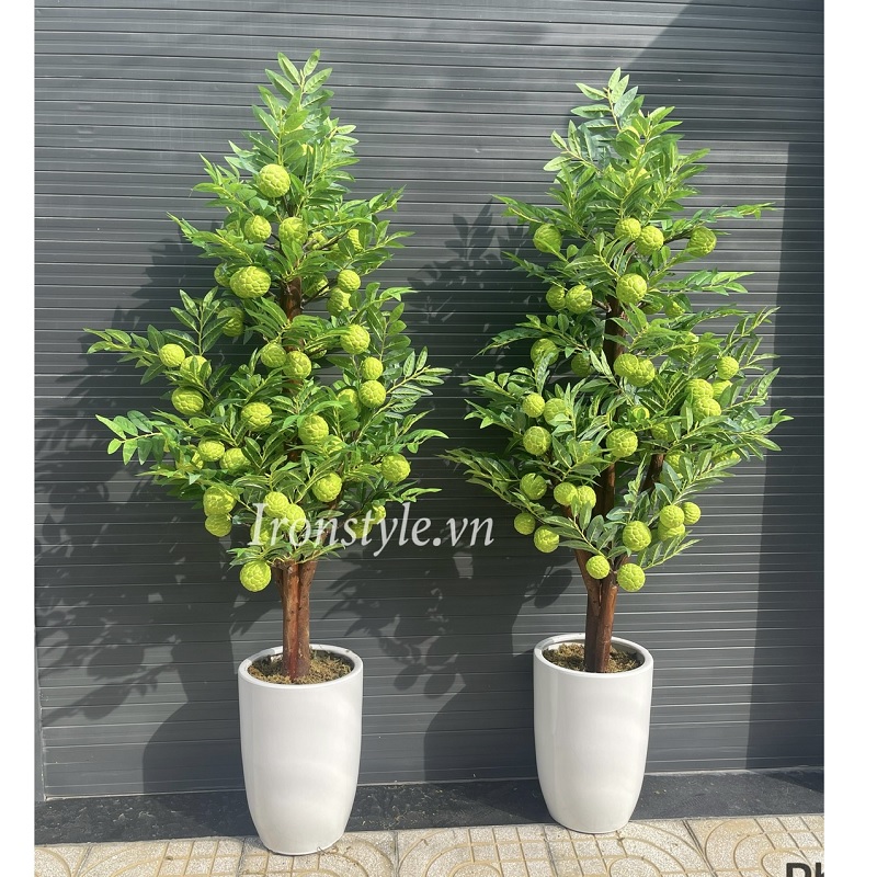 Cây mãng cầu giả kèm chậu sứ trắng