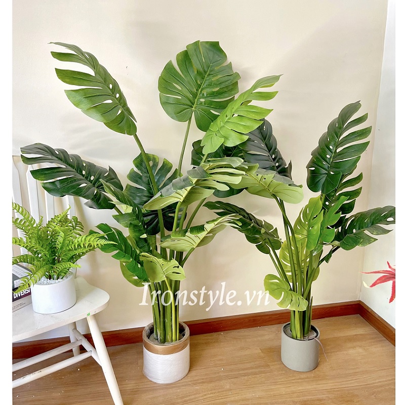 Chậu cây trầu bà lá xẻ giả thân nhựa dẻo cao cấp