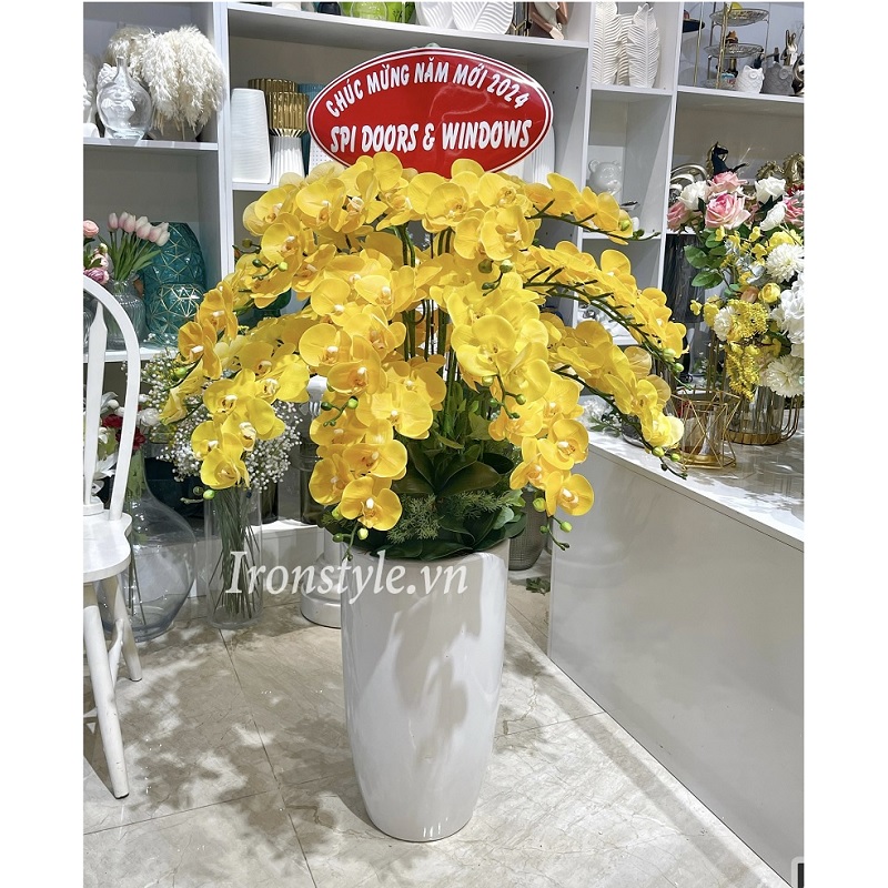 Chậu hoa lan hồ điệp cao su vàng cao 1m1