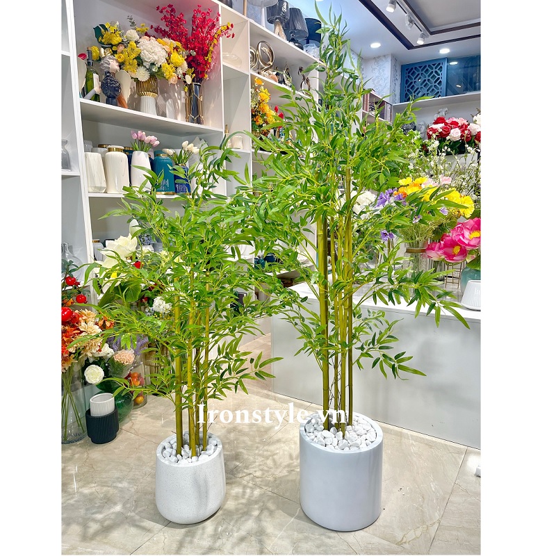 Cây trúc giả luôn chậu xi măng trắng