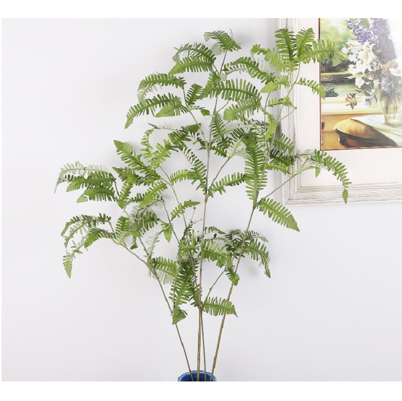 Cành lá giả dương xỉ dài