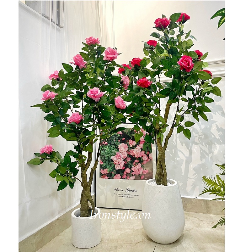 Cây hoa hồng giả kèm chậu xi măng