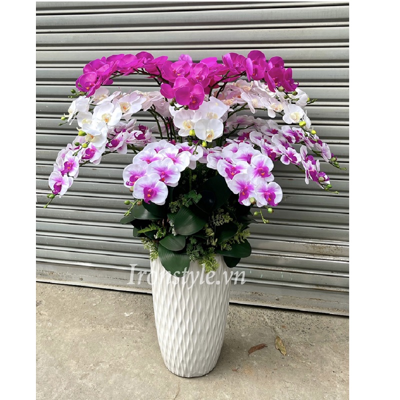 BÌnh lan hồ điệp lớn 3 tầng tím trắng 1m1