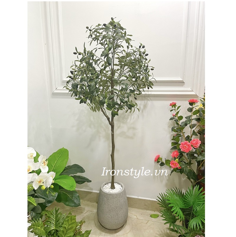 Chậu cây ô liu giả trang trí cao 1m7