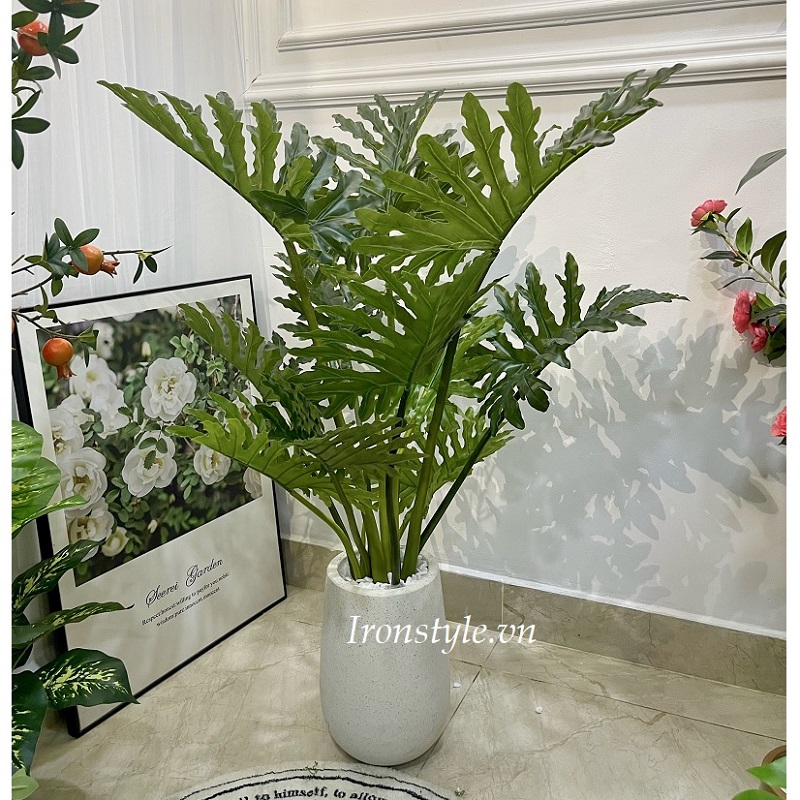 Chậu cây trầu bà thanh xuân giả 1m4