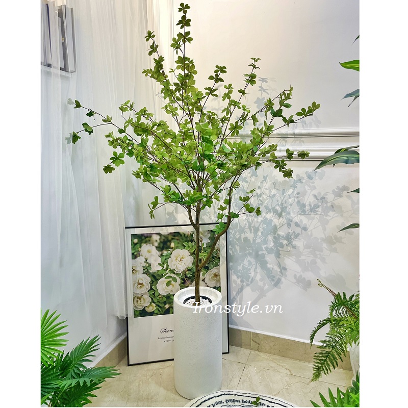 Chậu cây thạch nam giả 1m5 chậu xi măng trụ tròn