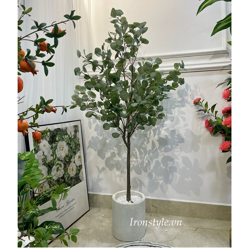 Chậu cây lá kim tiền giả kèm chậu 1m6