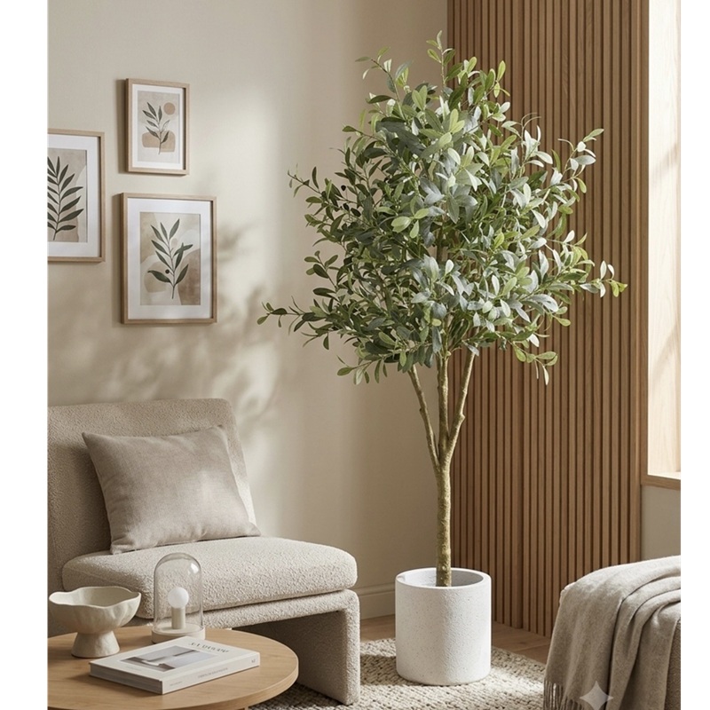 Chậu cây ô liu giả lá bạc 03 kèm chậu 1m7