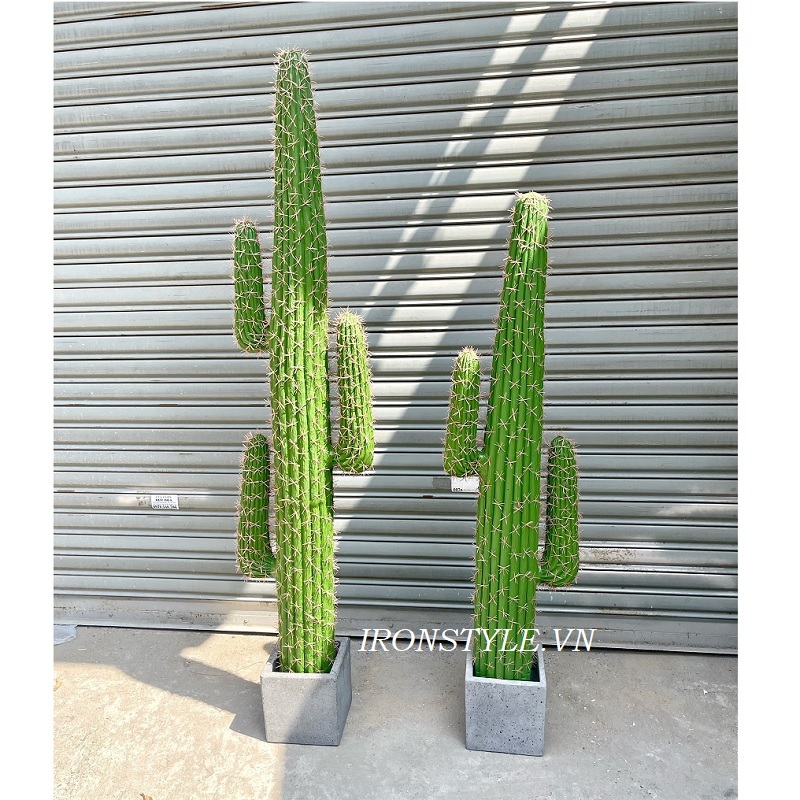 Cây xương rồng giả trang trí gai hồng
