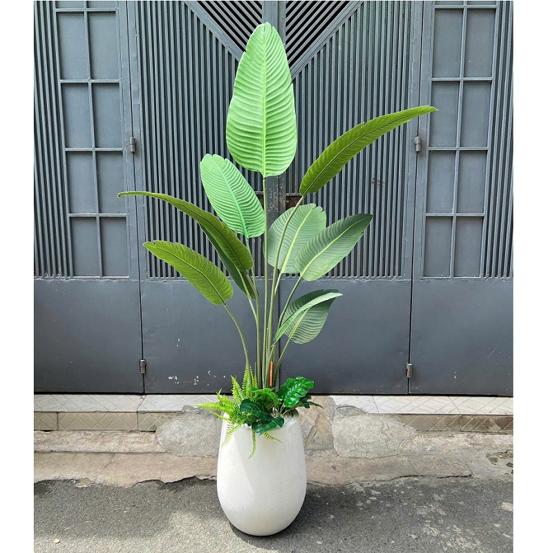 Chậu cây chuối giả kèm chậu 1m7