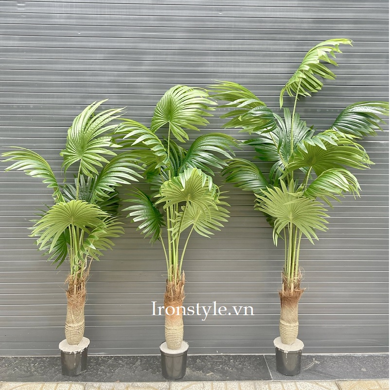 Cây cọ giả gốc to 02 trang trí trong nhà