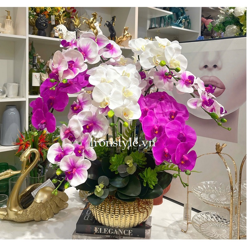 Bình hoa lan cao su tím trắng size thấp 65cm
